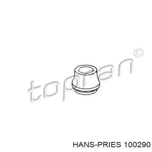 Прокладка клапана вентиляції картера 100290 Hans Pries (Topran)