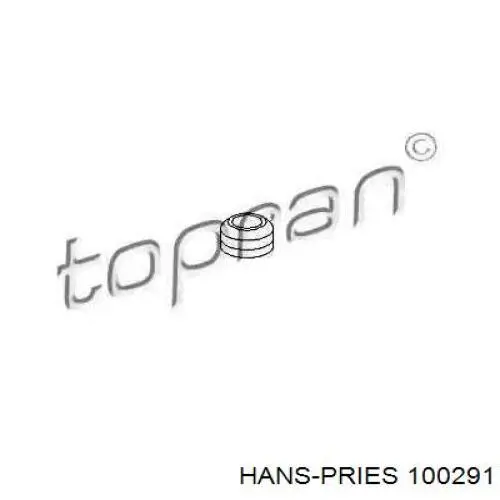 100291 Hans Pries (Topran) втулка крепления клапанной крышки