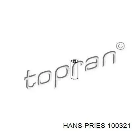 Розпилювач дизельної форсунки 100321 Hans Pries (Topran)