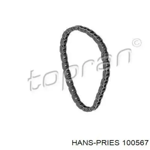 100567 Hans Pries (Topran) цепь масляного насоса