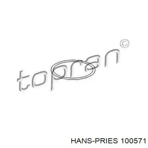Прокладка водяной помпы Hans Pries (Topran) 100571 цена, от 0.98 USD