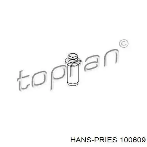100609 Hans Pries (Topran) направляющая клапана