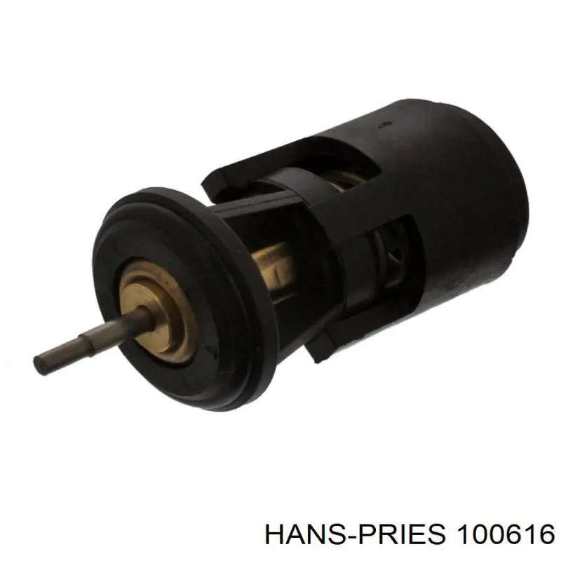 100616 Hans Pries (Topran) термостат