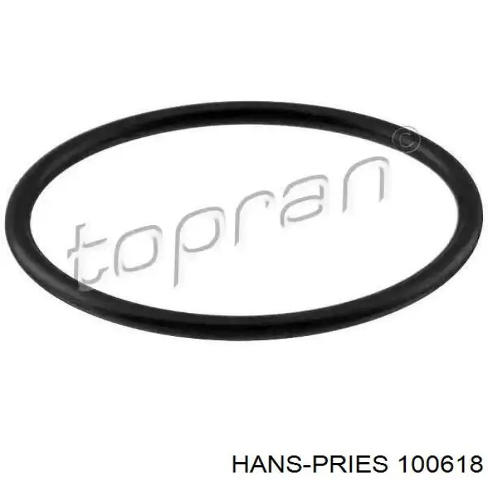 100618 Hans Pries (Topran) vedante de termostato