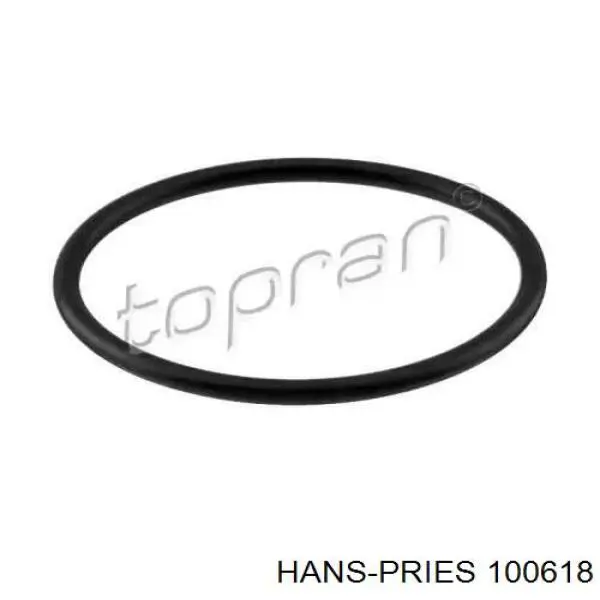 Прокладка термостата 100618 Hans Pries (Topran)