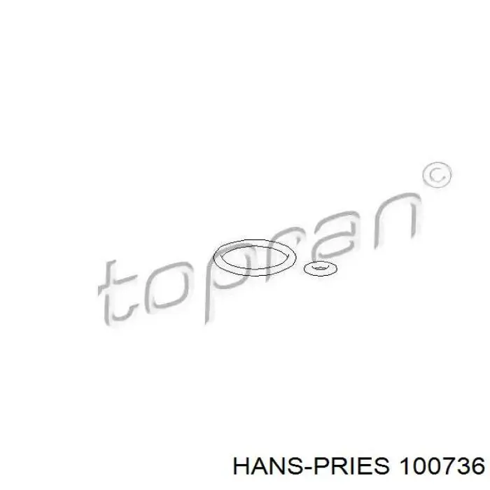 100736 Hans Pries (Topran) прокладка регулятора давления топливной рейки