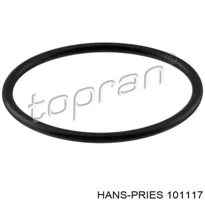 101117 Hans Pries (Topran) vedante de termostato