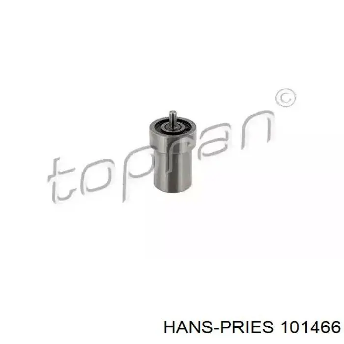 101466 Hans Pries (Topran) pulverizador de diesel do injetor