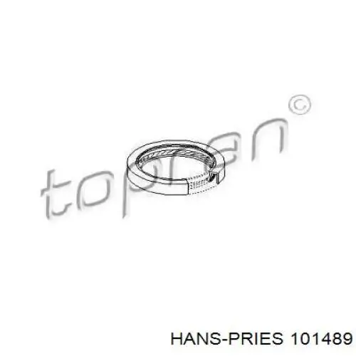 101489 Hans Pries (Topran) сальник коленвала двигателя задний