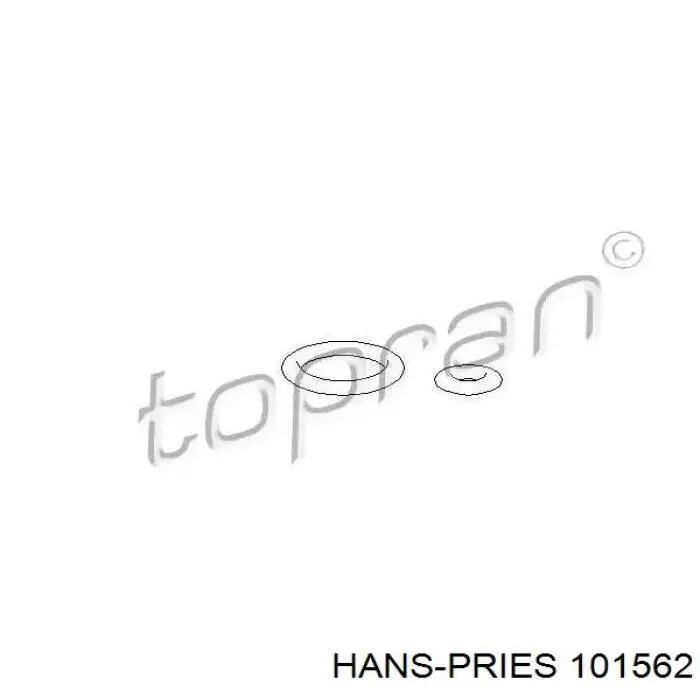 101562 Hans Pries (Topran) anel (arruela do injetor de ajuste)