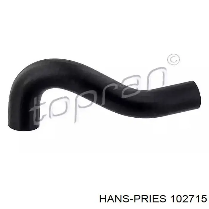 102715 Hans Pries (Topran) mangueira (cano derivado inferior do radiador de esfriamento)