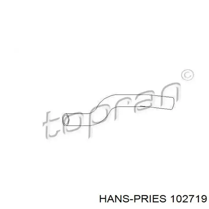 102719 Hans Pries (Topran) mangueira (cano derivado do radiador de esfriamento superior)