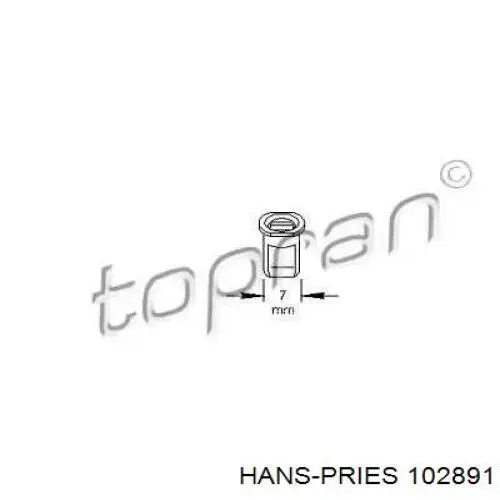  102891 Hans Pries (Topran)