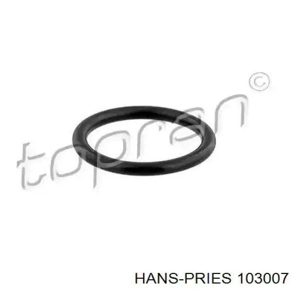 103007 Hans Pries (Topran) прокладка крышки расширительного бачка