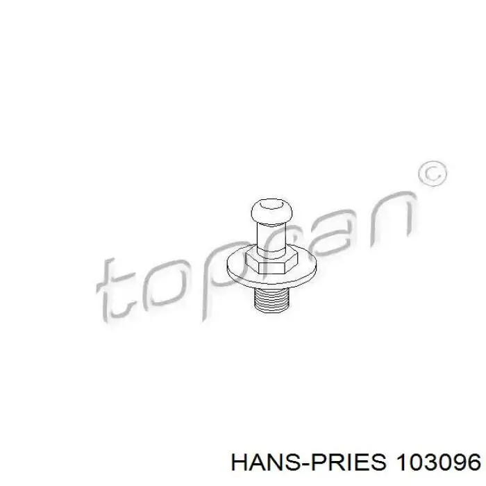 Эксцентрик личинки замка двери 109723755 Hans Pries (Topran)