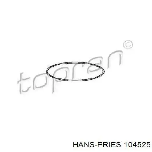 Junta anular, camisa cilindro 104525 Hans Pries (Topran)