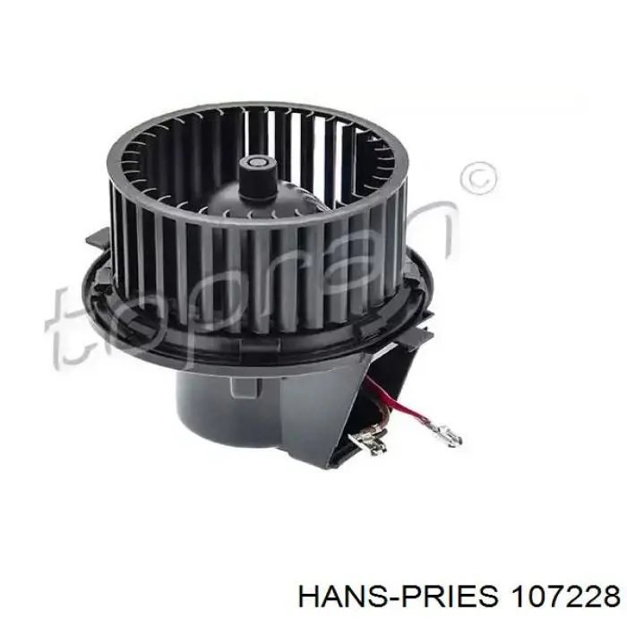 107228 Hans Pries (Topran) motor de ventilador de forno (de aquecedor de salão)