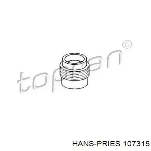  107315 Hans Pries (Topran)