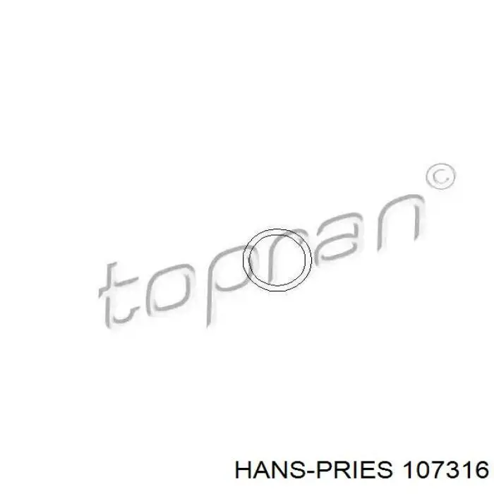 107316 Hans Pries (Topran) кольцо (шайба форсунки инжектора посадочное)
