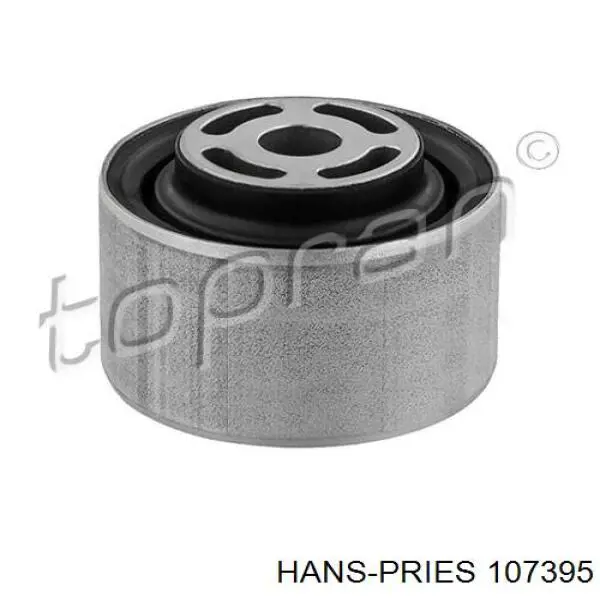 Патрубок вентиляции картера, маслоотделителя Hans Pries (Topran) 107395 цена, от 4.87 USD