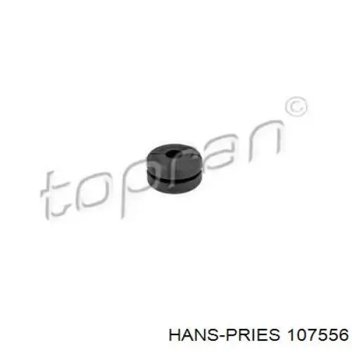 107556 Hans Pries (Topran)