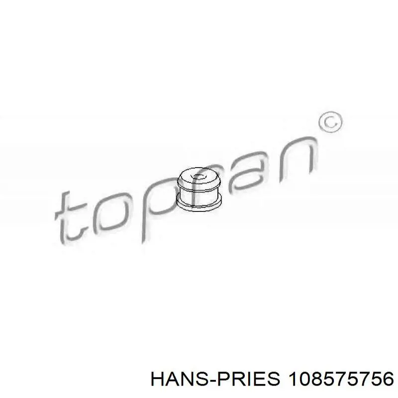 108 575 756 Hans Pries (Topran) педаль газа (акселератора)