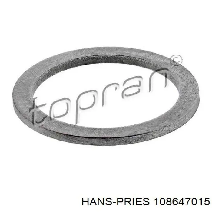 Прокладка шланга подачи масла к турбине Hans Pries (Topran) 108647015