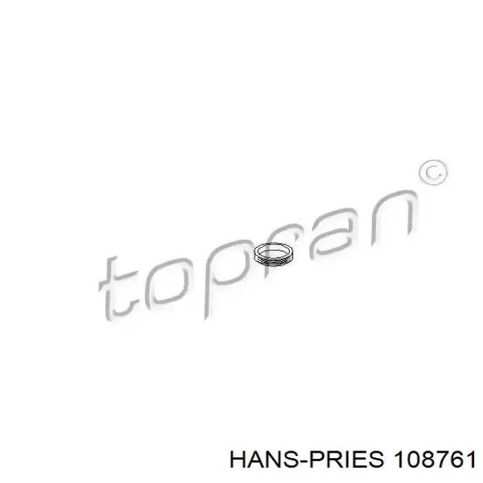 108761 Hans Pries (Topran) кольцо уплотнительное фильтра акпп