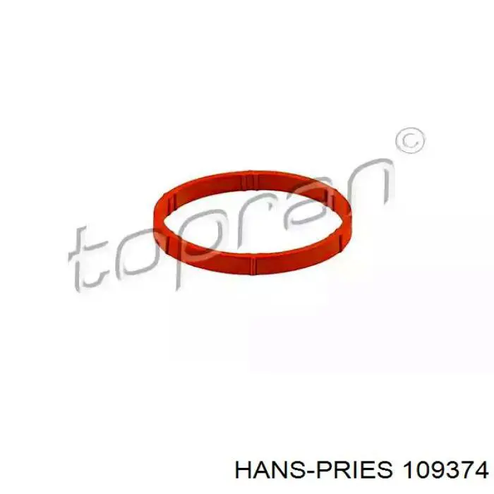 Прокладка впускного коллектора HANS PRIES 109374
