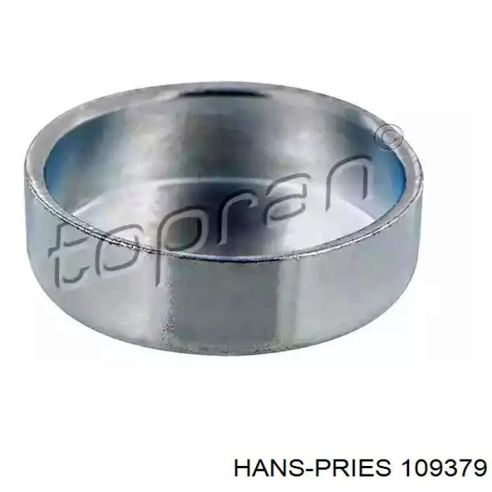 109379 Hans Pries (Topran) заглушка гбц/блока цилиндров