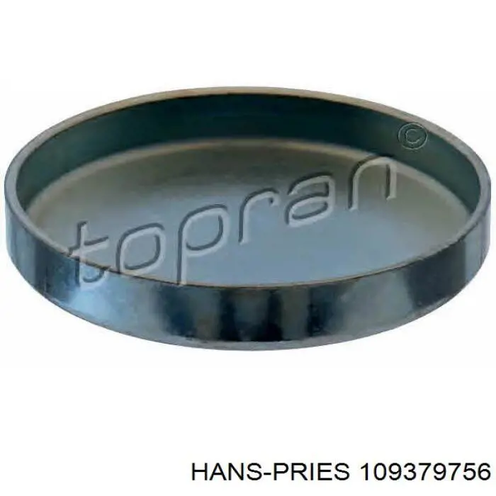 Заглушка ГБЦ 109379756 Hans Pries (Topran)