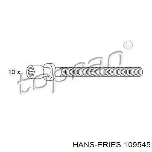 Болт ГБЦ 109545 Hans Pries (Topran)