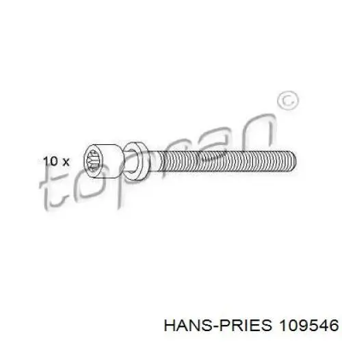 109546 Hans Pries (Topran) Болт крепления головки блока цилиндров