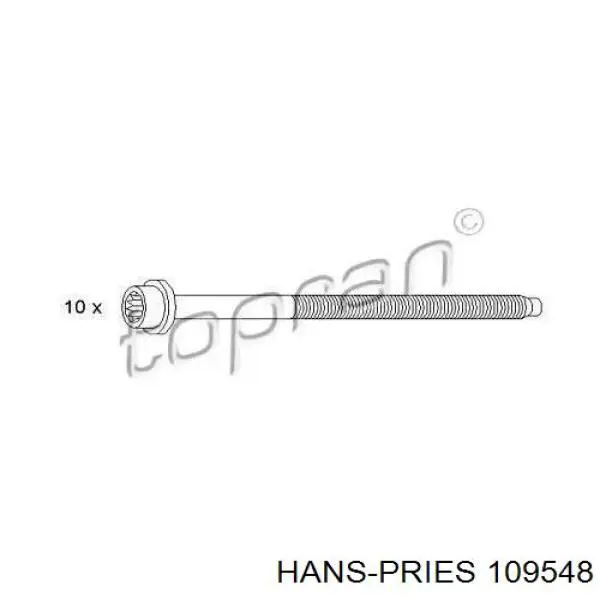 Болт ГБЦ 109548 Hans Pries (Topran)