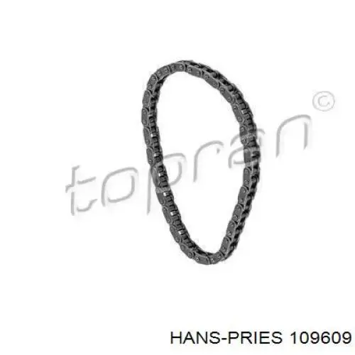 109609 Hans Pries (Topran) цепь масляного насоса