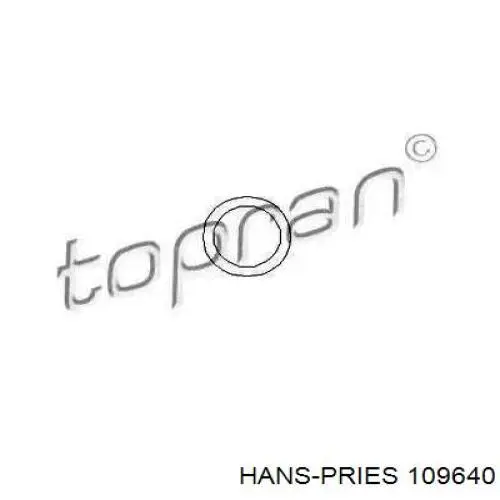 109640 Hans Pries (Topran) anel (arruela do injetor de ajuste)