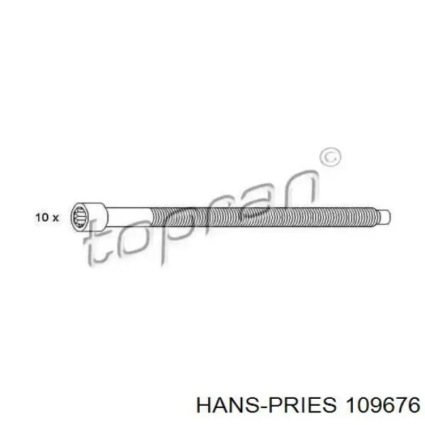 109676 Hans Pries (Topran) Болт крепления головки блока цилиндров