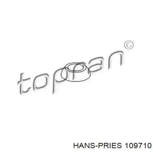 109710 Hans Pries (Topran) рычаг переключения передач