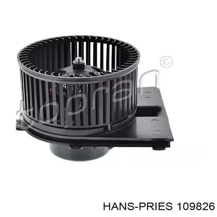 109826 Hans Pries (Topran) motor de ventilador de forno (de aquecedor de salão)