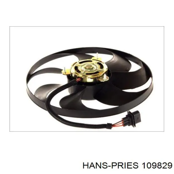 Электровентилятор охлаждения 109829 Hans Pries (Topran)