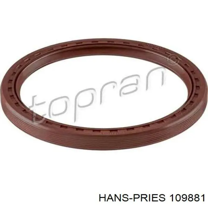 Модуль зажигания 109881 Hans Pries (Topran)