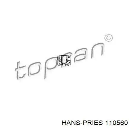  110560 Hans Pries (Topran)