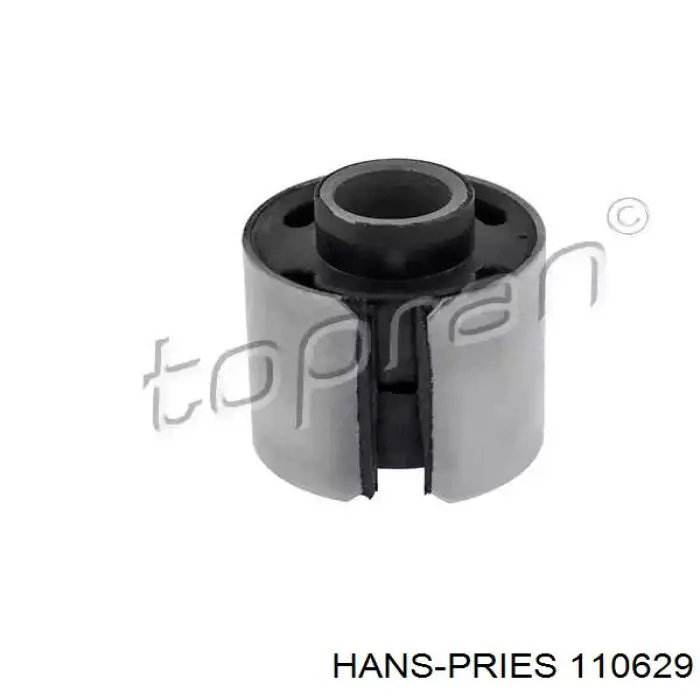 110629 Hans Pries (Topran) bloco silencioso dianteiro do braço oscilante inferior