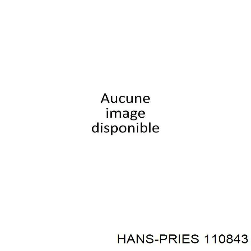 Задняя опора двигателя 110843 Hans Pries (Topran)