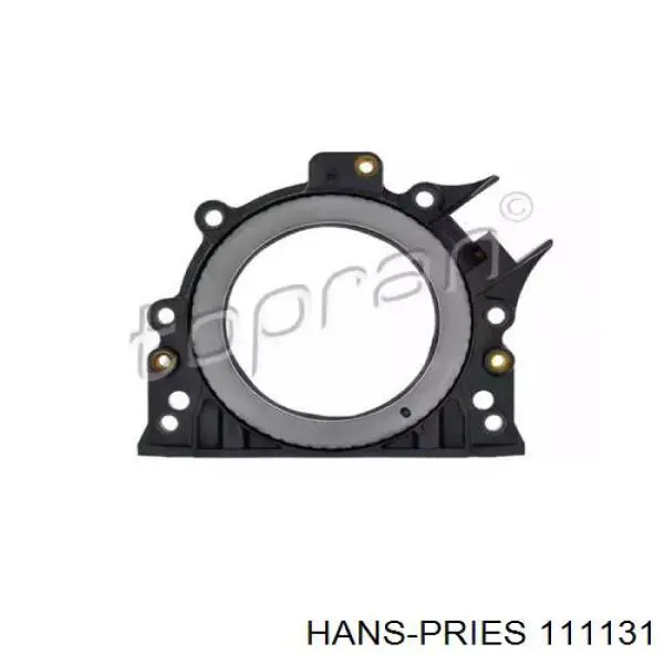 Сальник коленвала двигателя задний 111131 Hans Pries (Topran)