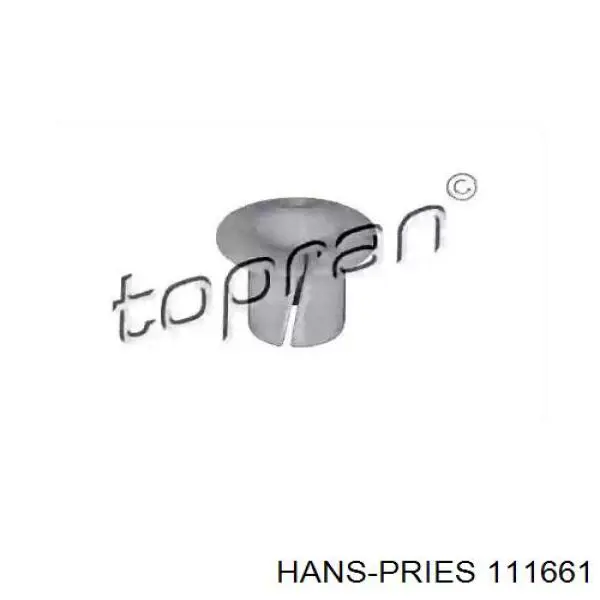 111661 Hans Pries (Topran)