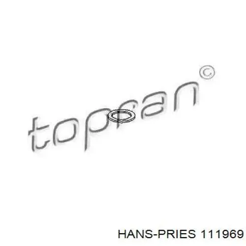 Кольцо уплотнительное трубки ГУР Hans Pries (Topran) 111969