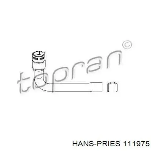 111975 Hans Pries (Topran) mangueira (cano derivado do radiador de esfriamento superior)