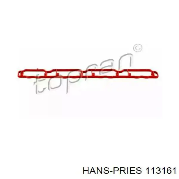 113161 Hans Pries (Topran) vedante de tubo coletor de admissão