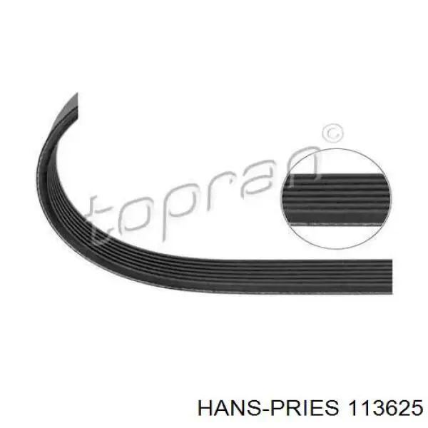 Ремень генератора 113625 Hans Pries (Topran)